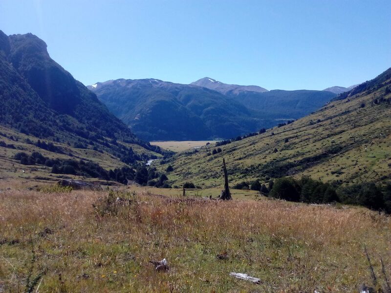 Archivo:7N.jpg