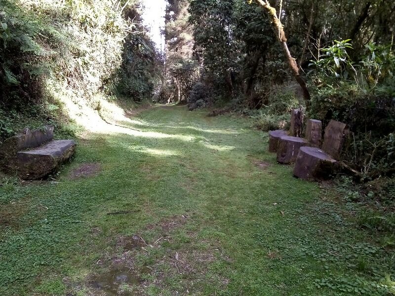 Archivo:Desc zorr.jpg