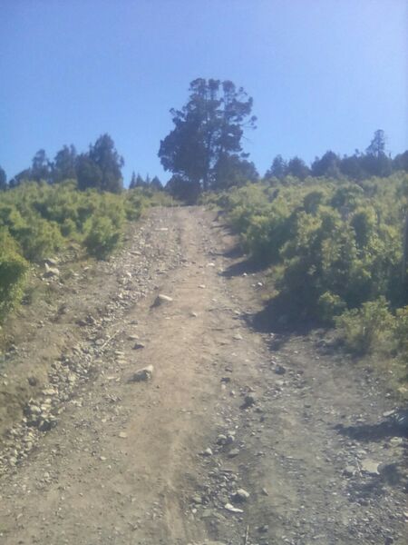 Archivo:Imichol-1-.jpeg