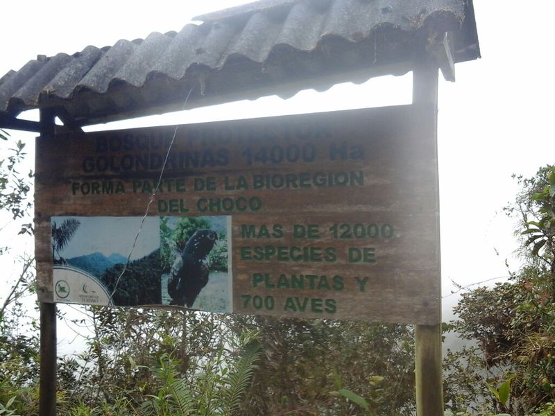 Archivo:Cartel en cascada.jpg