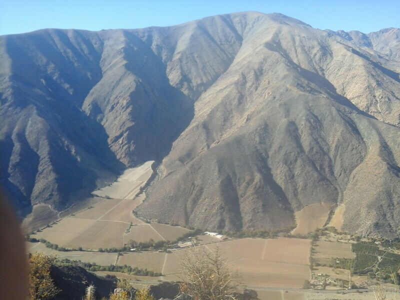Archivo:E Nariz.jpg