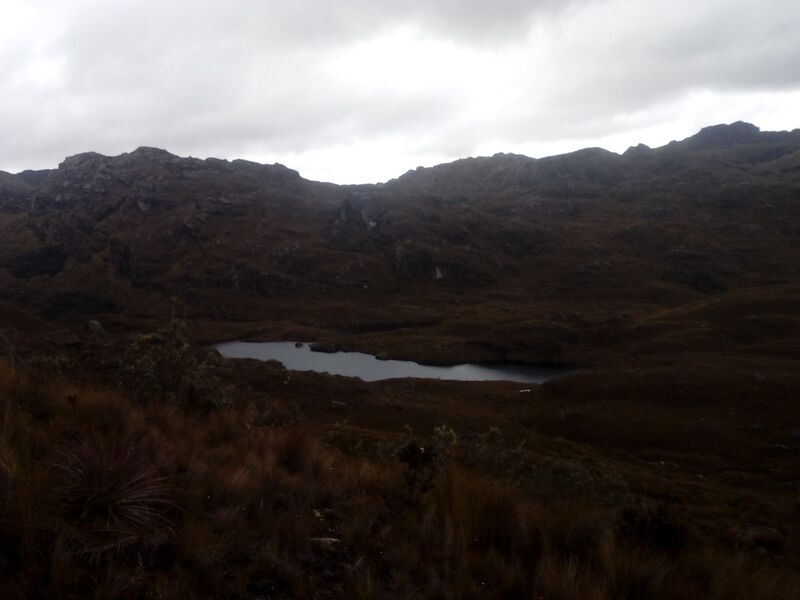 Archivo:Cris pan.jpg