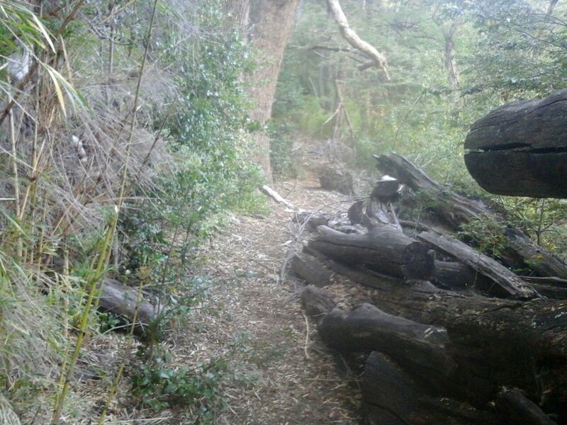 Archivo:Senda bqe S.G.jpg