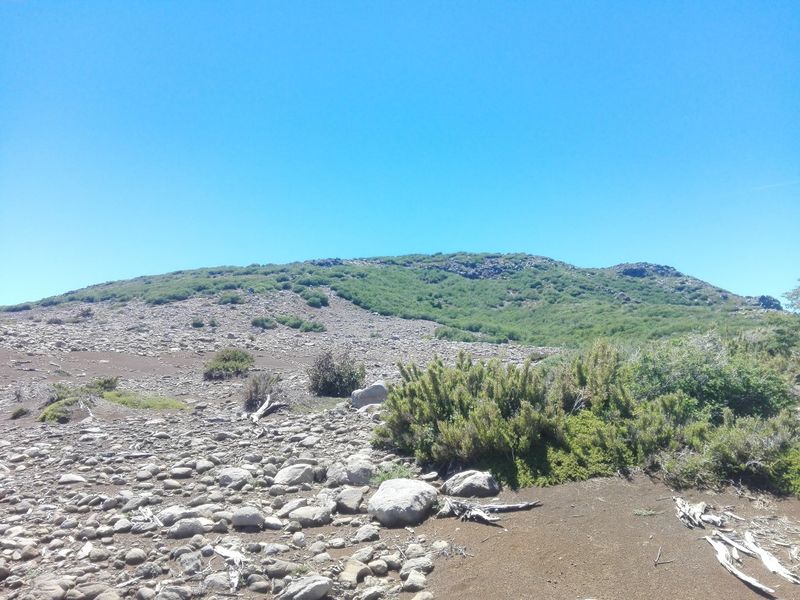 Archivo:Dañicalqui.jpg