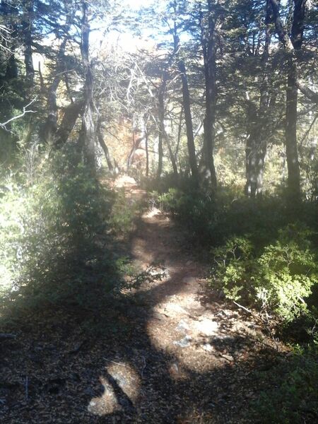 Archivo:Quebrada a Pantano.jpg