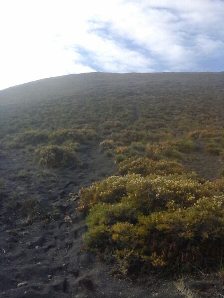 Archivo:Ult up Azul.jpg