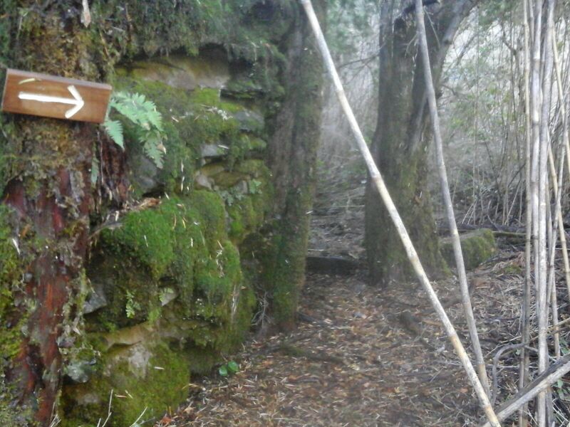 Archivo:Pared verde.jpg