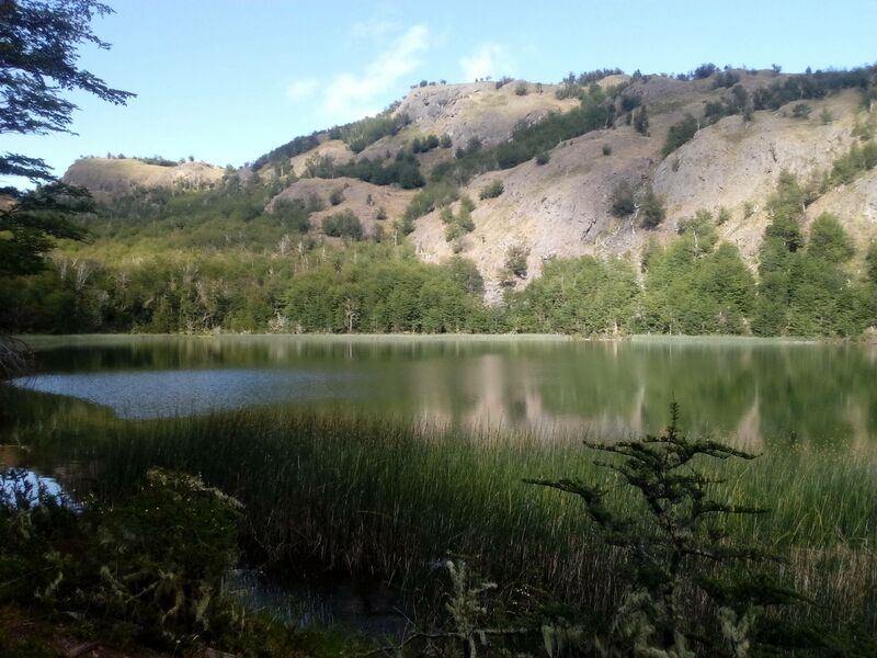 Archivo:Bzverin.jpg
