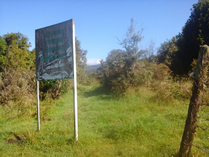 Archivo:Desvío laguna Brava.jpg