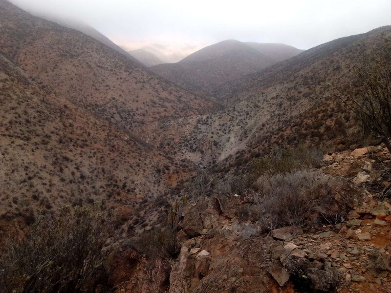 Archivo:Pap panqu.jpg