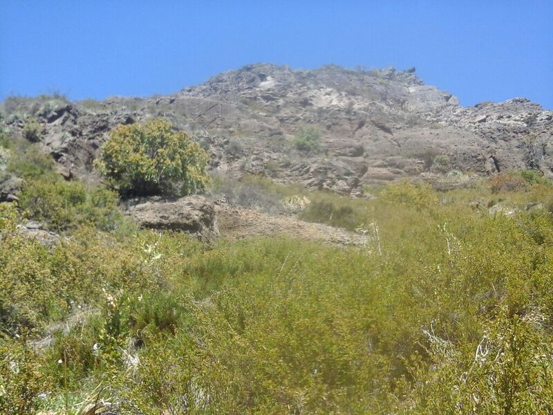 Archivo:Sal bque Acantilado.jpg