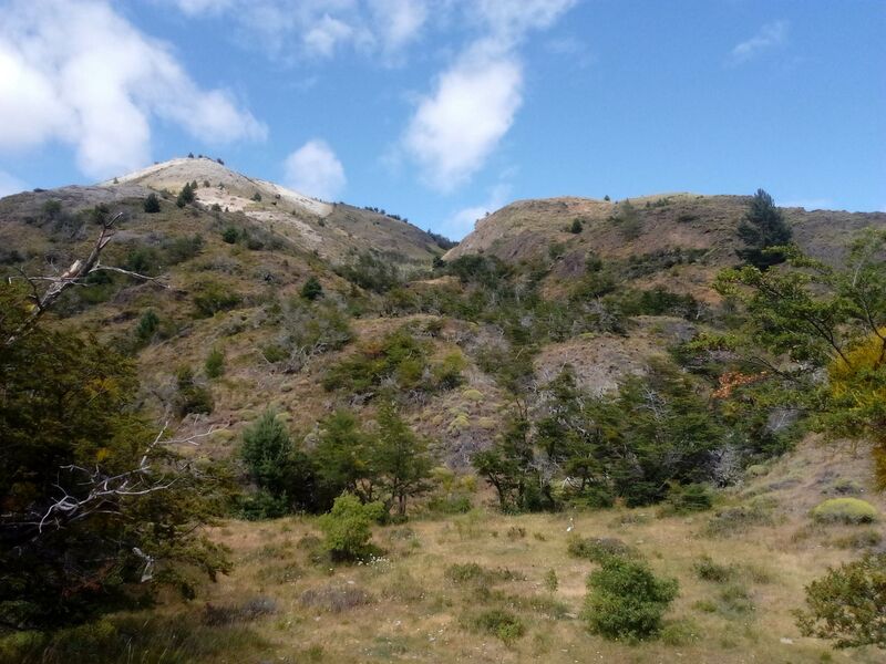 Archivo:Bzcerr.jpg
