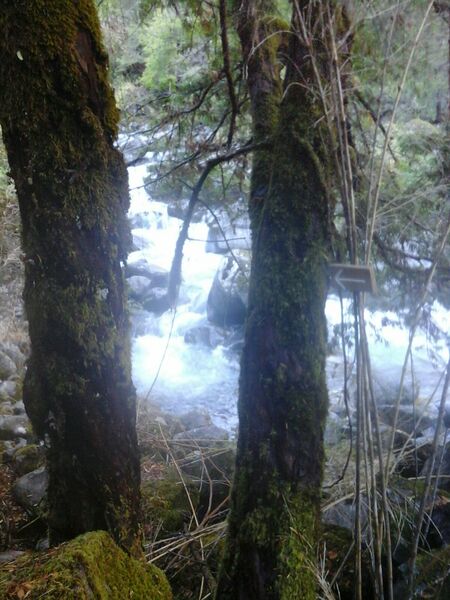 Archivo:Llegada Río verde.jpg