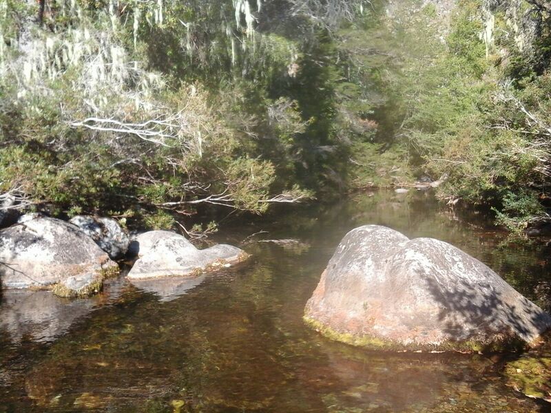 Archivo:Fin Bullileo.jpg