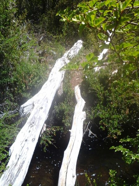 Archivo:Segundo cruce Ce.jpg