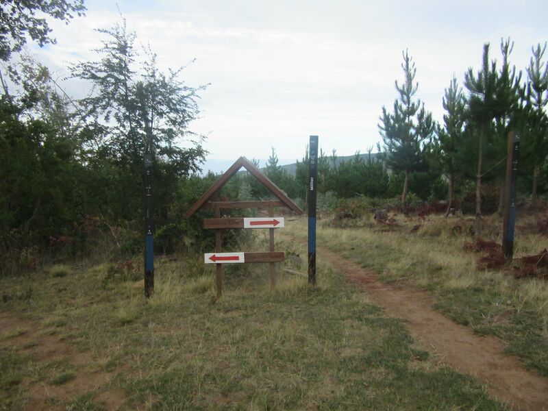 Archivo:Miliini.jpg