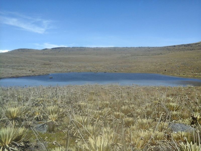 Archivo:Tembladores 1.jpg