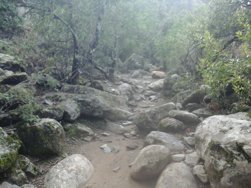 Archivo:Cerca río Pejerrey.jpg